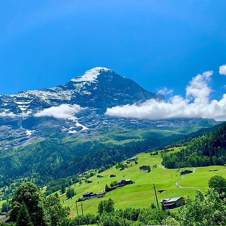 Moench Amazing Apartment Grindelwald Ngoại thất bức ảnh